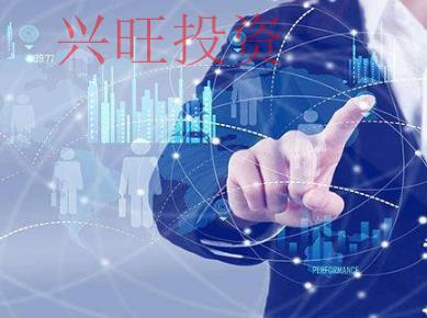 個人獨資公司條件