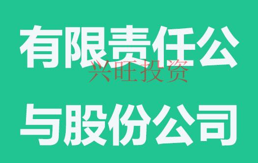 有限責(zé)任公司
